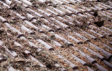 North Poorton roof cleaning companies