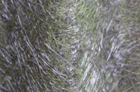 North Poorton fibreglass roof work